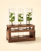 Deluxe Propagation Station